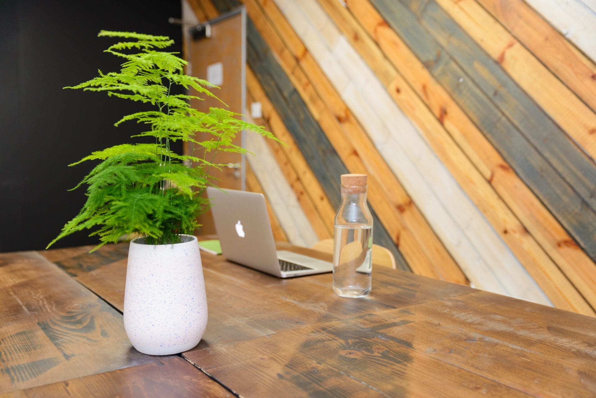 Insight Into The Coworking Spaces at The Tara Building